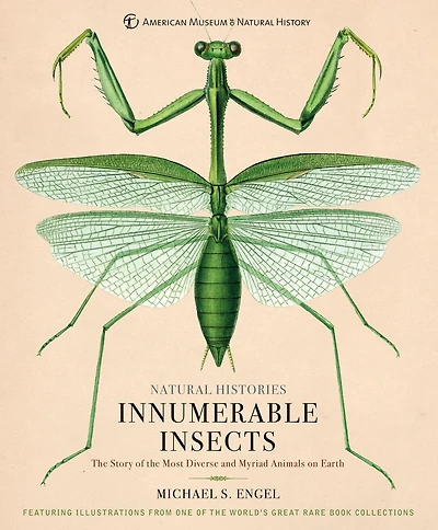 Innumerable Insects: the Story of Most Diverse and Myriad Animals on Earth