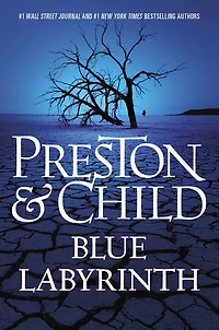 Blue Labyrinth (Pendergast Series #14)