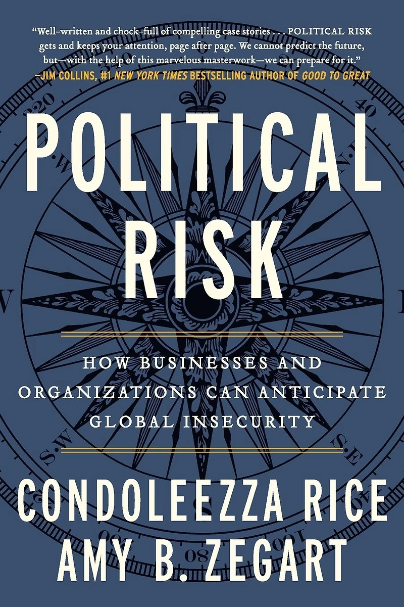 Political Risk: How Businesses and Organizations Can Anticipate Global Insecurity