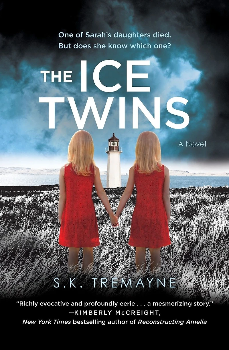 The Ice Twins: A Novel