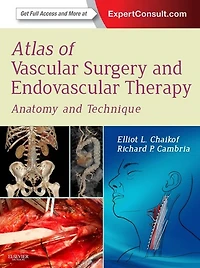 Atlas of Vascular Surgery and Endovascular Therapy: Atlas of Vascular Surgery and Endovascular Therapy E-Book