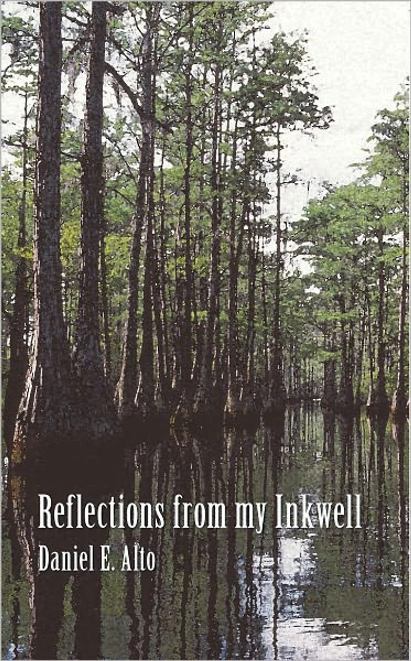 Reflections from my Inkwell: A Collection of short stories that read like a Dime Novel