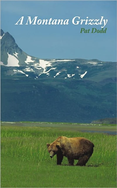 A Montana Grizzly