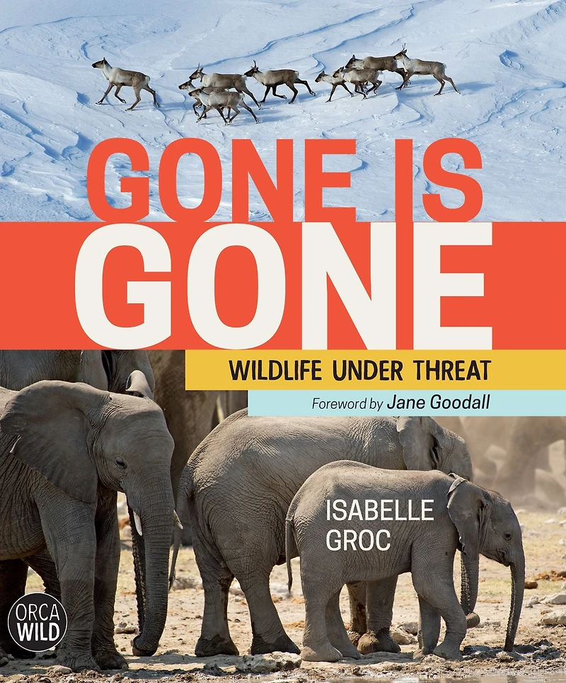 Gone is Gone: Wildlife Under Threat
