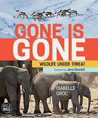Gone is Gone: Wildlife Under Threat