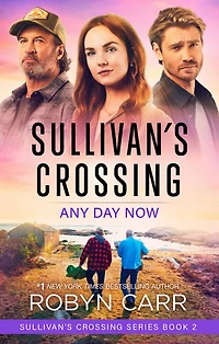 Any Day Now (Sullivan's Crossing Series #2)