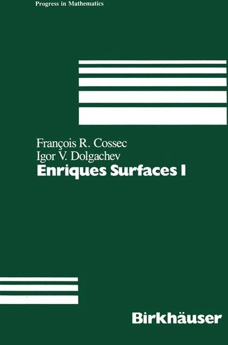Enriques Surfaces I