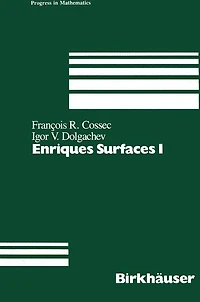 Enriques Surfaces I
