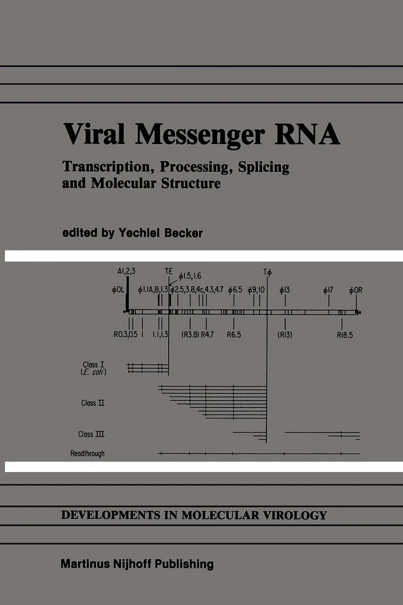Viral Messenger RNA: Transcription, Processing, Splicing and Molecular Structure