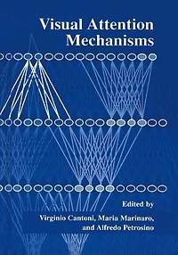 Visual Attention Mechanisms