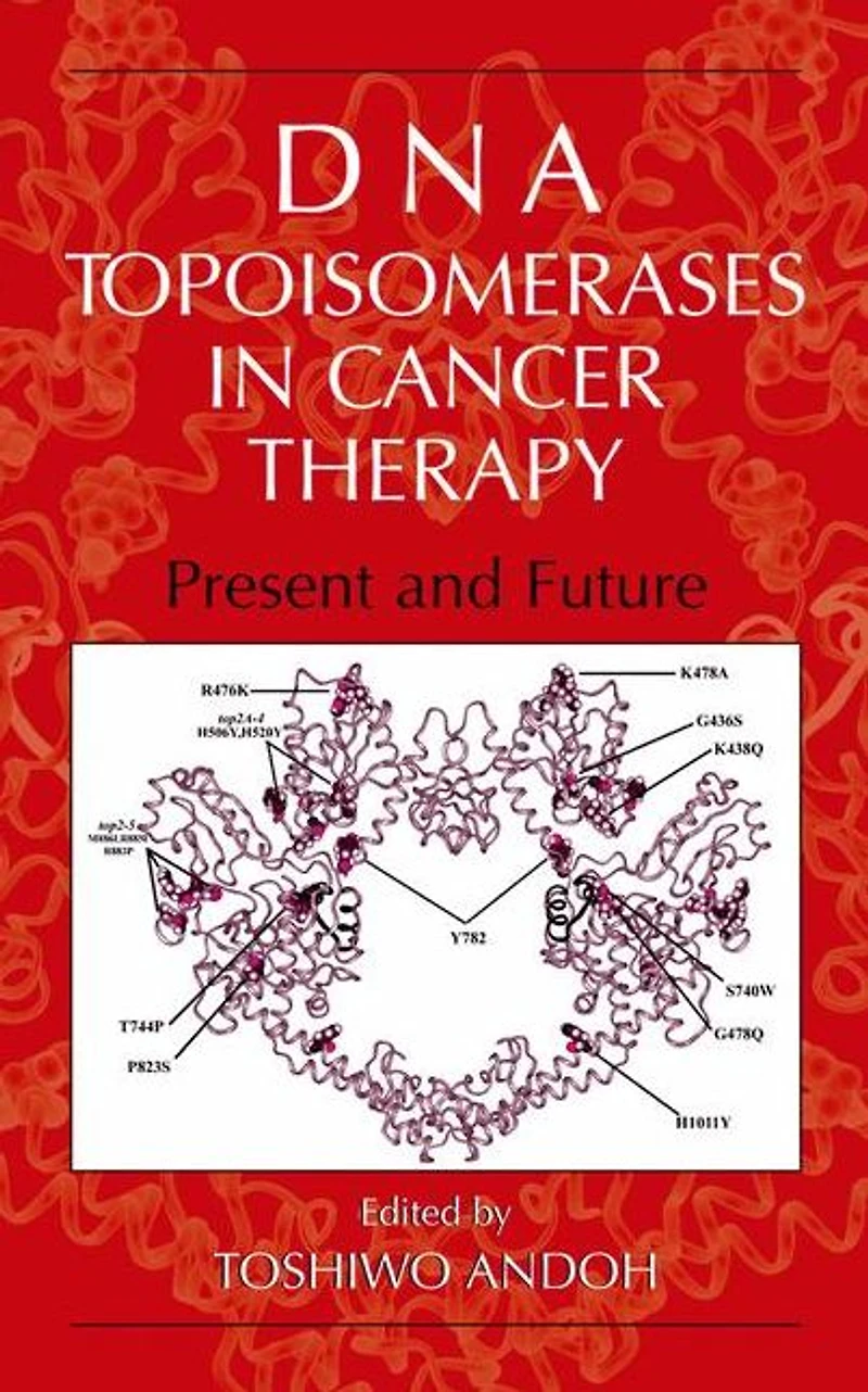 DNA Topoisomerases Cancer Therapy: Present and Future