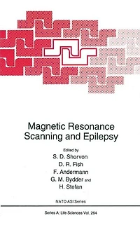 Magnetic Resonance Scanning and Epilepsy