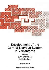 Development of the Central Nervous System Vertebrates
