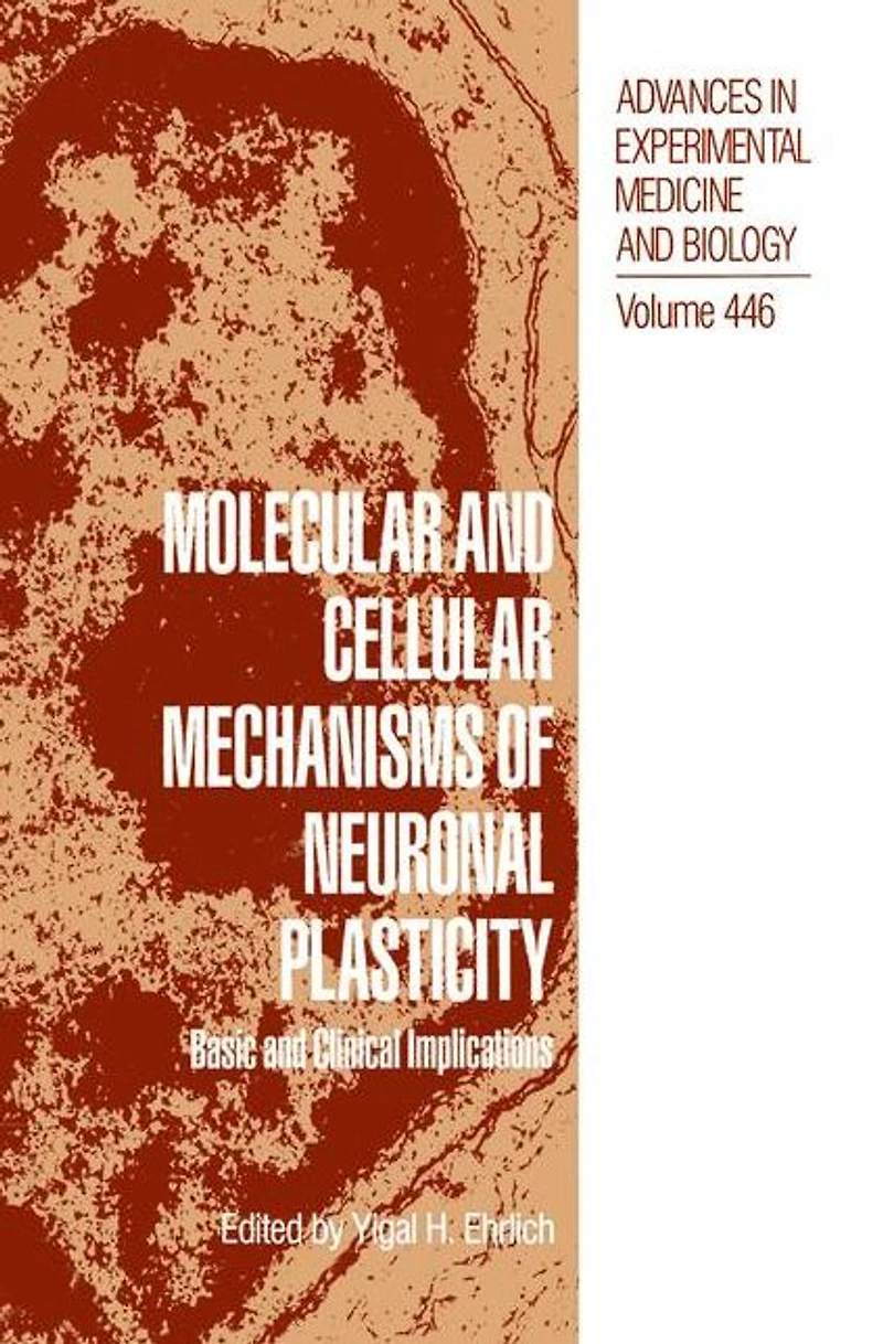 Molecular and Cellular Mechanisms of Neuronal Plasticity: Basic Clinical Implications