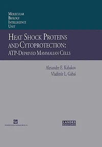 Heat Shock Proteins and Cytoprotection: Atp-Deprived Mammalian Cells