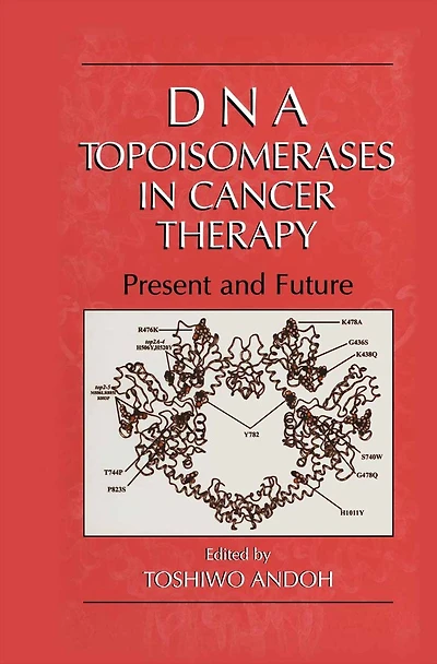 DNA Topoisomerases in Cancer Therapy: Present and Future