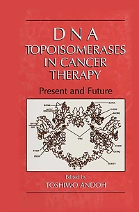 DNA Topoisomerases in Cancer Therapy: Present and Future
