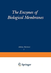 The Enzymes of Biological Membranes: Volume 1: Physical and Chemical Techniques
