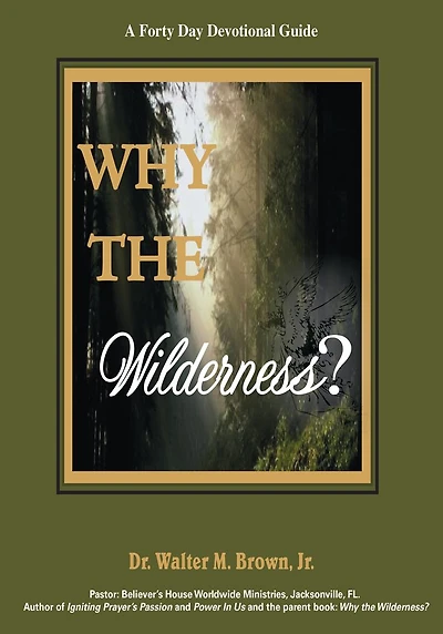 Why The Wilderness: A Forty Day Devotional Guide: God Sends Angels After We Go Through!