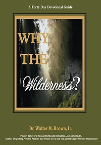 Why The Wilderness: A Forty Day Devotional Guide: God Sends Angels After We Go Through!