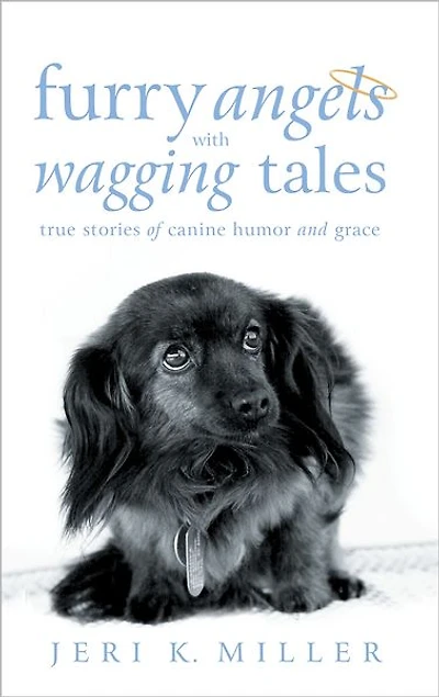 Furry Angels with Wagging Tales: True Stories of Canine Humor and Grace