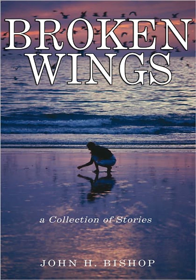 Broken Wings: A Collection of Stories