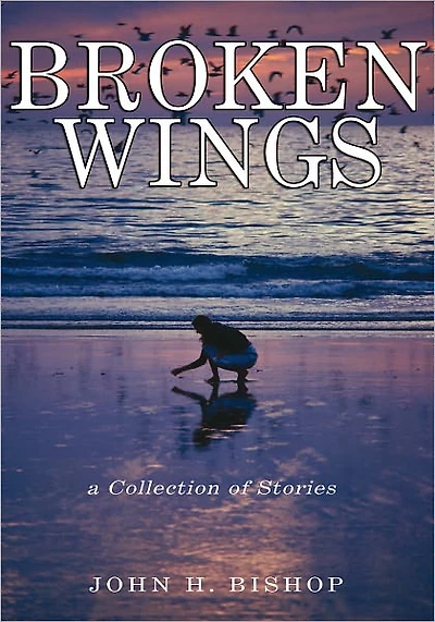 Broken Wings: A Collection of Stories