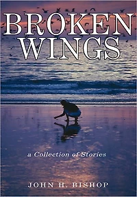 Broken Wings: A Collection of Stories