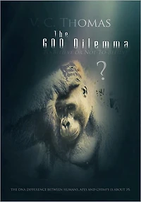 The God Dilemma: To Believe or Not To Believe