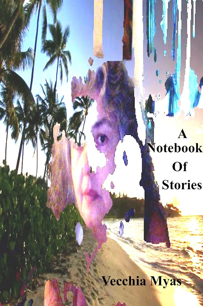 A Notebook Of Stories
