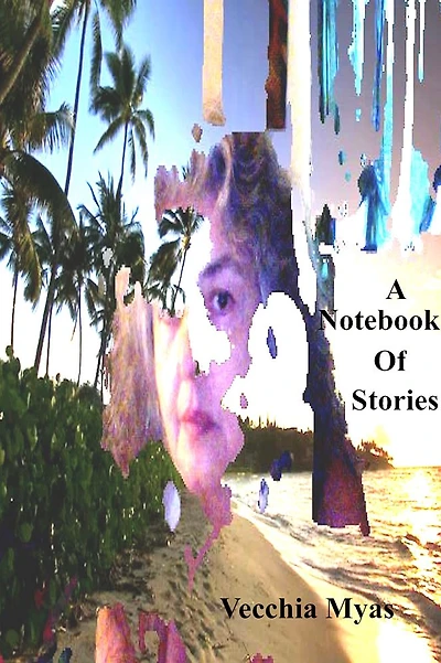 A Notebook Of Stories
