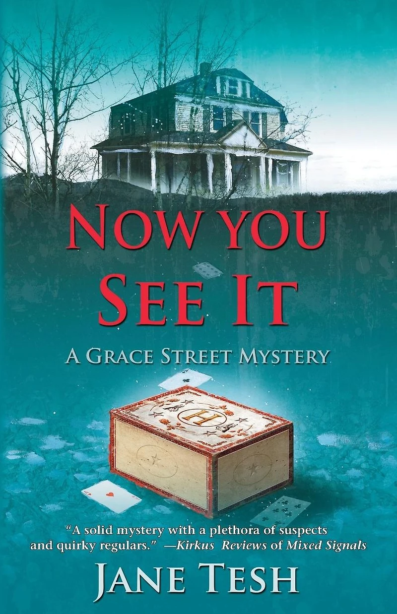 Now You See It: A Grace Street Mystery