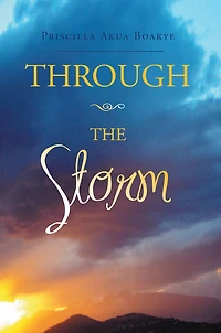 Through the Storm
