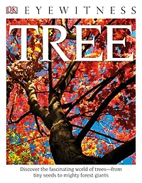 Tree (DK Eyewitness Books Series)