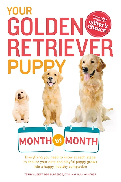 Your Golden Retriever Puppy Month by Month: Everything You Need to Know at Each Stage Ensure Cute and Playful