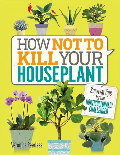 How Not to Kill Your Houseplant: Survival Tips for the Horticulturally Challenged