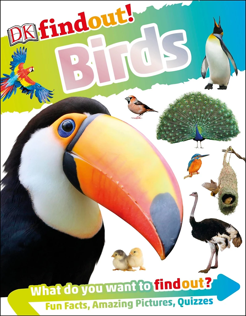 DKfindout! Birds