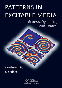 Patterns Excitable Media: Genesis, Dynamics, and Control
