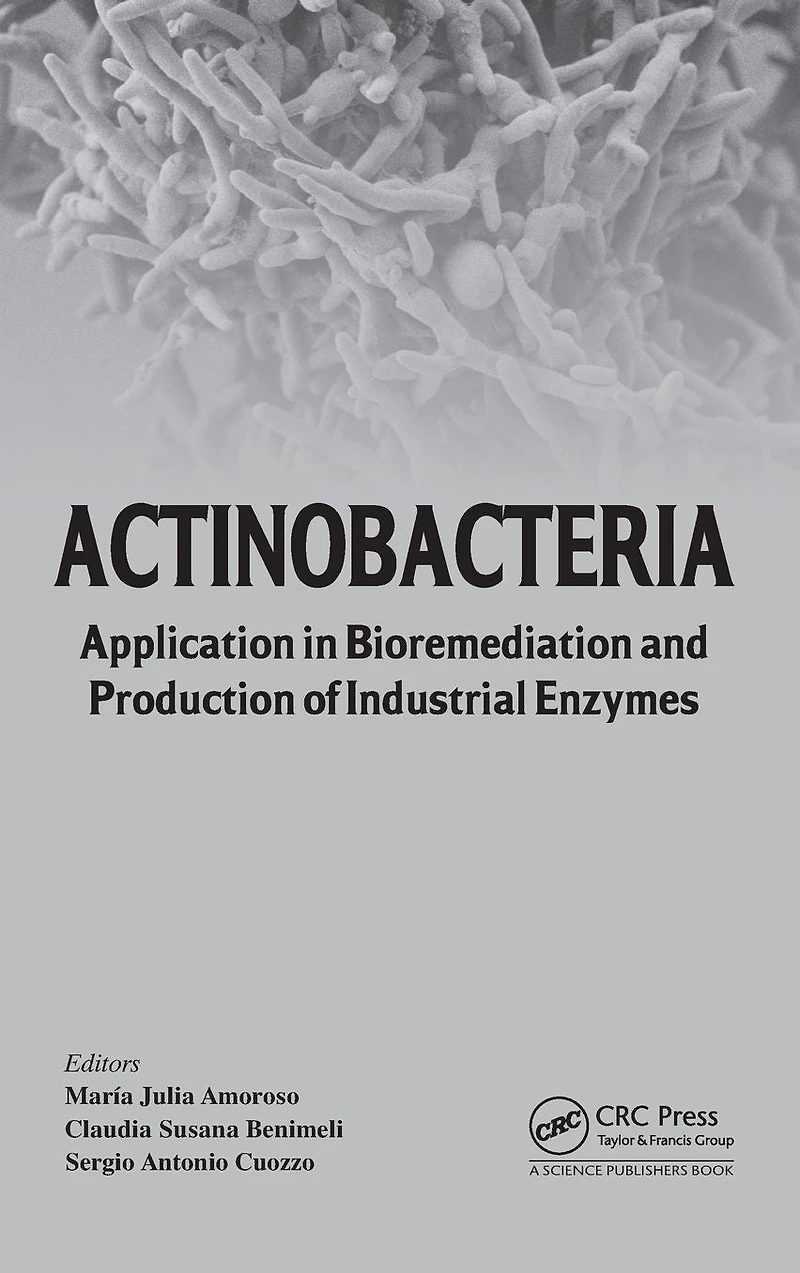 Actinobacteria: Application Bioremediation and Production of Industrial Enzymes