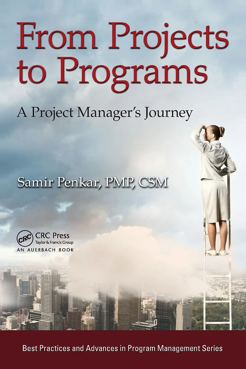 From Projects to Programs: A Project Manager's Journey