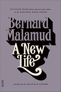 A New Life: Novel
