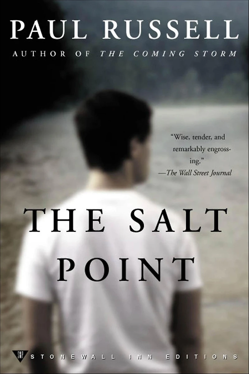 The Salt Point: A Novel