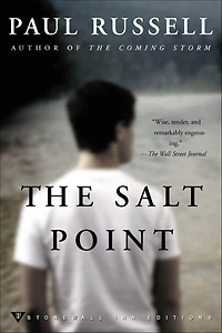 The Salt Point: A Novel
