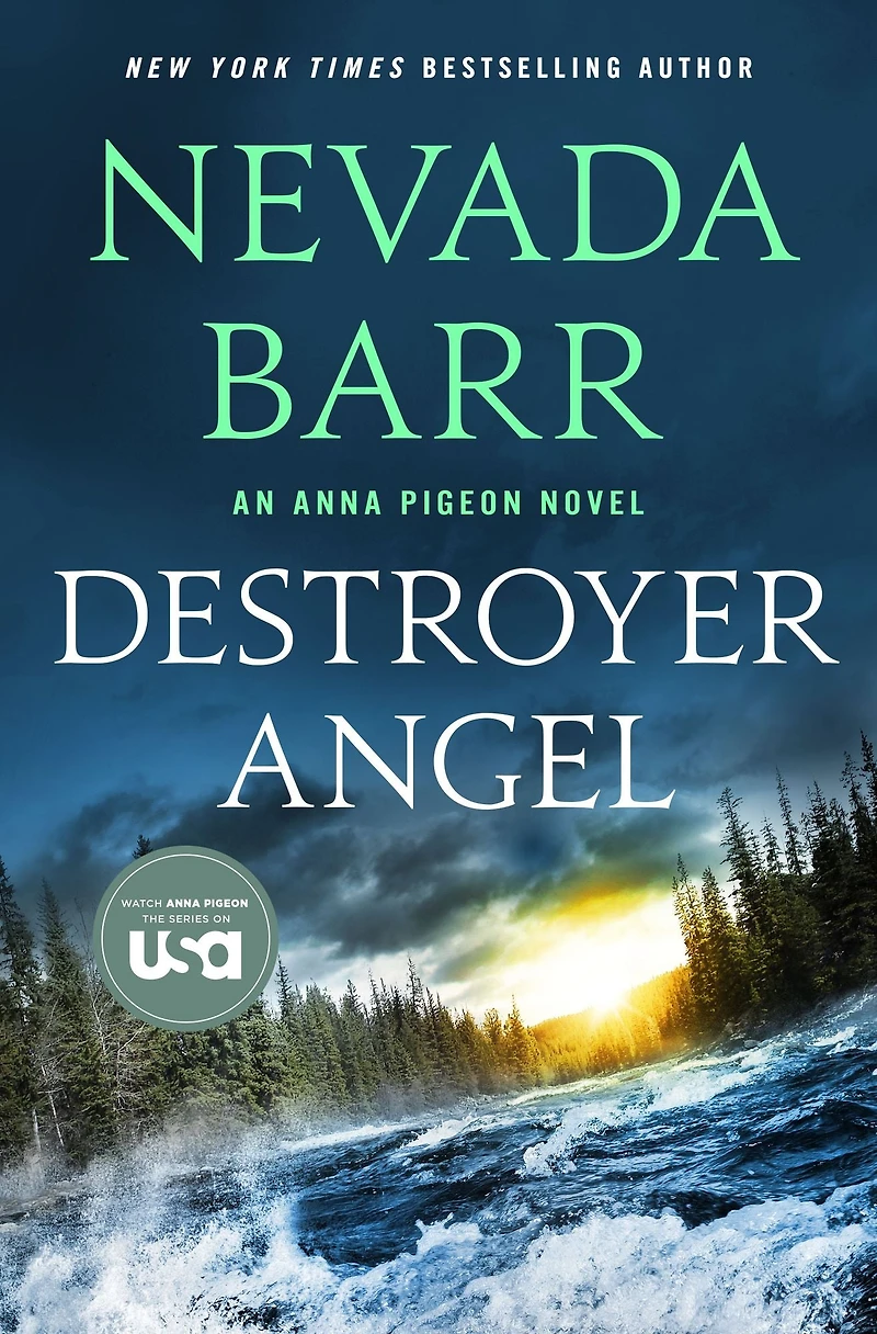 Destroyer Angel (Anna Pigeon Series #18)