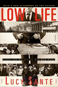 Low Life: Lures and Snares of Old New York