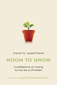 Room to Grow: Meditations on Trying Live as a Christian