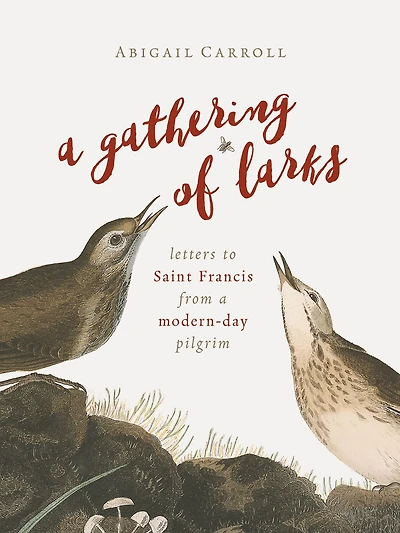 a Gathering of Larks: Letters to Saint Francis from Modern-Day Pilgrim