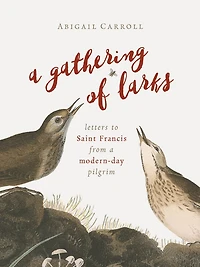 a Gathering of Larks: Letters to Saint Francis from Modern-Day Pilgrim