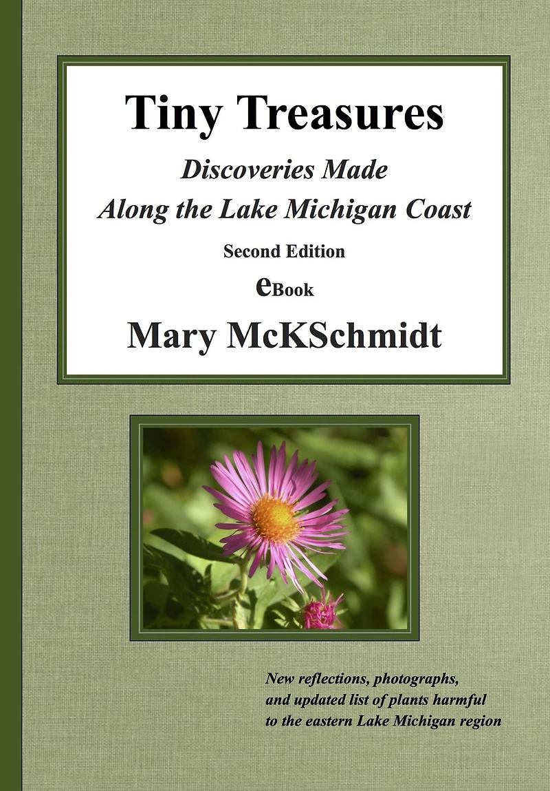 Tiny Treasures: Discoveries Made Along the Lake Michigan Coast, Second Edition