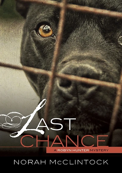 Last Chance (Robyn Hunter Series #1)